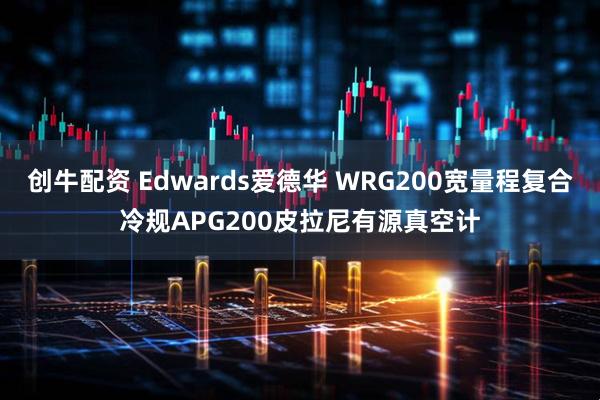 创牛配资 Edwards爱德华 WRG200宽量程复合冷规APG200皮拉尼有源真空计