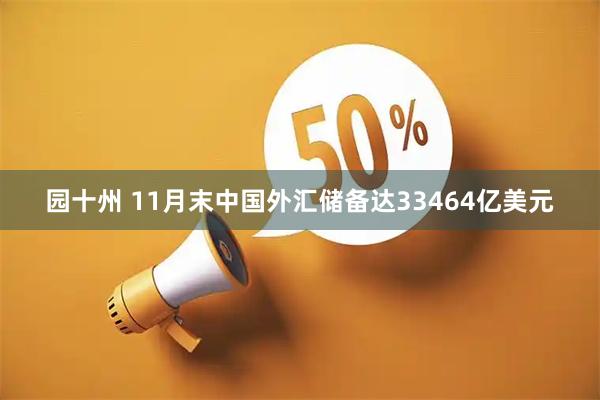 园十州 11月末中国外汇储备达33464亿美元
