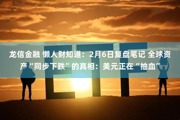 龙信金融 懒人财知道：2月6日复盘笔记 全球资产“同步下跌”的真相：美元正在“抽血”